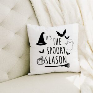 Halloween Pillow, Halloween Gift, Halloween Decor, Halloween Decoration, Fall Pillow, Spooky Season Pillow, Custom Pillow Cover, Halloween