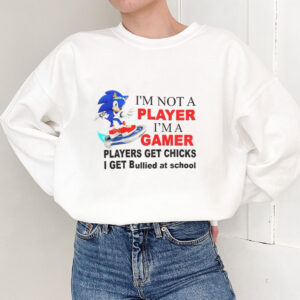Sonic I’m Not A Player I’m A Gamer Players Get Chicks I Get Bullied At School Shirt